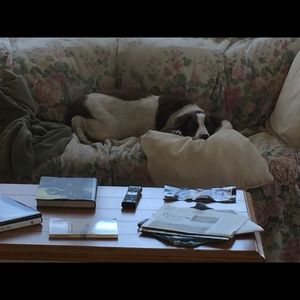 Meet your Posher, Michele